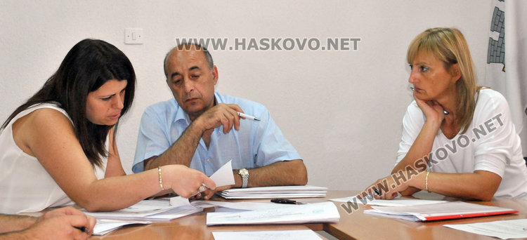 Три фирми искат дървата на Хасково в търг от втори опит