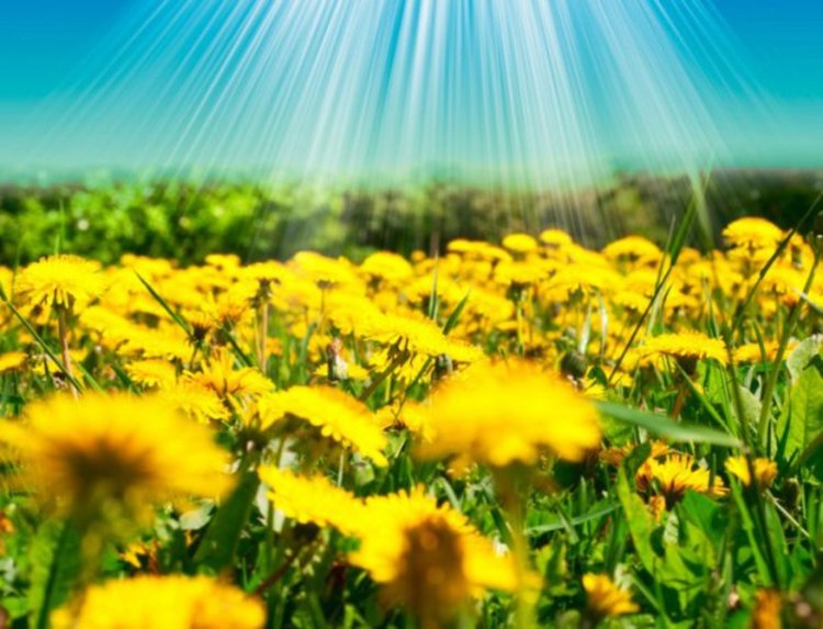 Слънчево време с температури между 29°-34°  