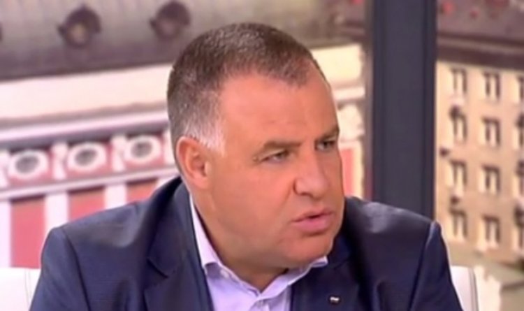 В България се сече по-малко отколкото трябва