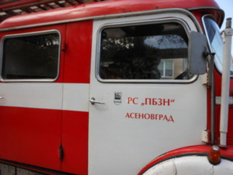 Заради жегата и човешката небрежност: Всеки ден пожари, спасиха животни в Боянци, в Милево огънят погълна крави и прасета