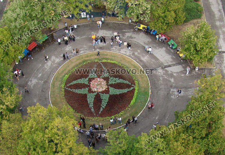 Глобяват за кражба на цветя от зелените площи в Димитровград