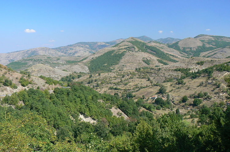 Пак залагат отрови в Родопите, още умрели животни, опасност и за хората