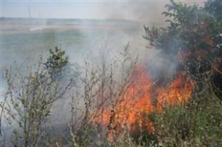 Сухи треви горяха във „Възрожденци”