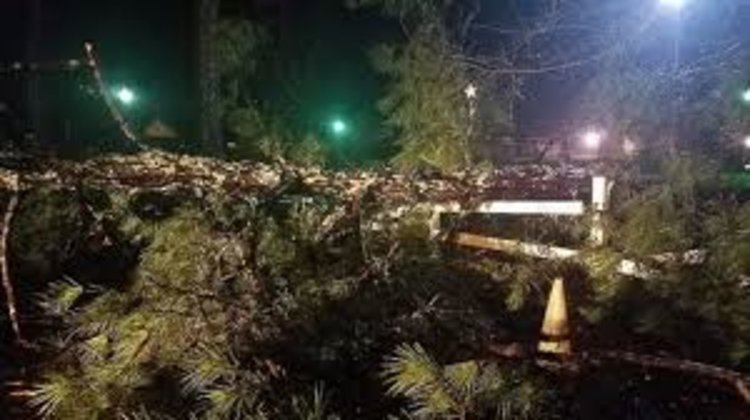 Буря блокира железопътния транспорт в Германия 