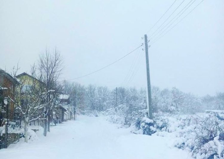 Две димитровградски села без ел.захранване от снощи