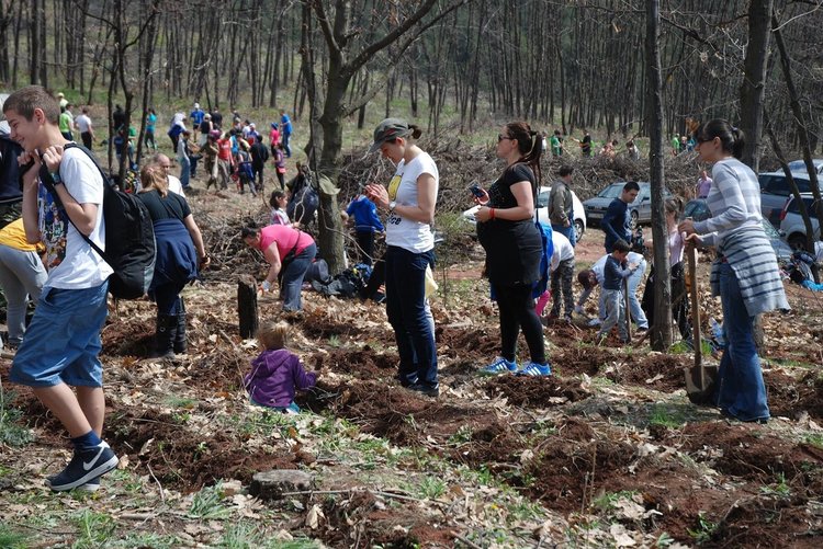 Засаждане на 1 300 дървета - Пловдив, Пазарджик, Асеновград