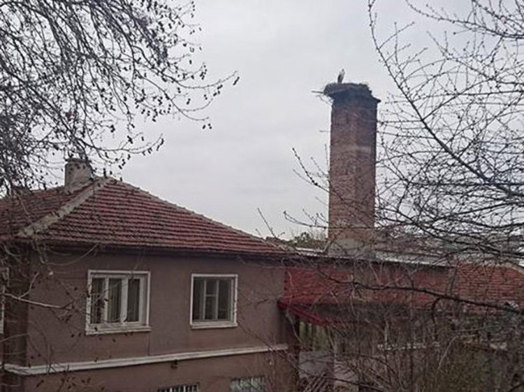 Сваляйте мартениците!