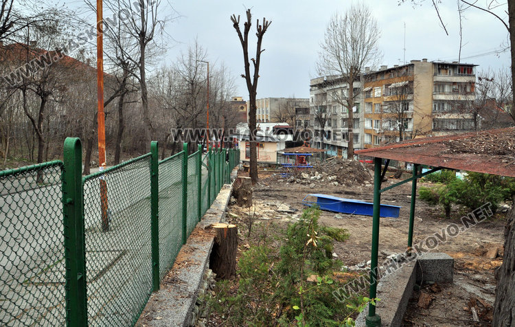 Изсякоха 40 дървета в двора на забавачка, майки ядосани
