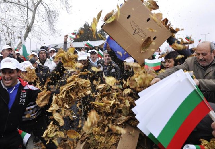 Животновъди и тютюнопроизводители на протест