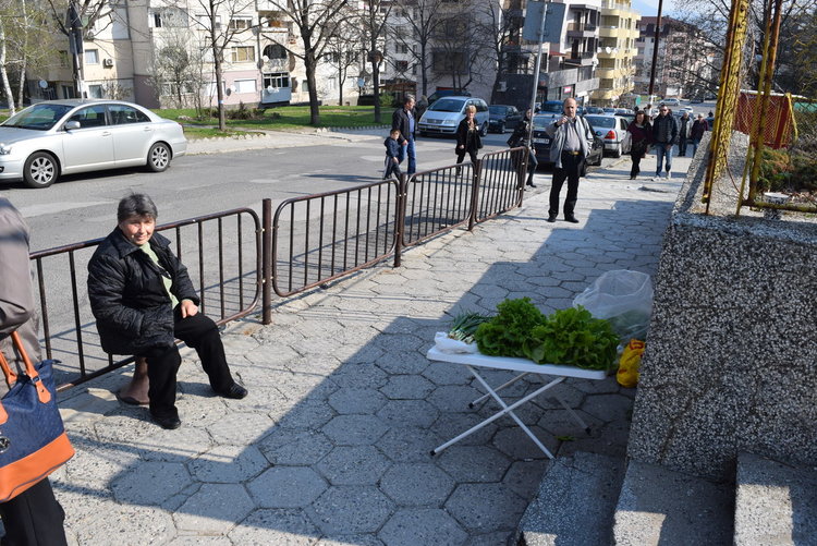    Предприемчива кърджалийка направи бизнес от изборите,пусна на паша избирателите