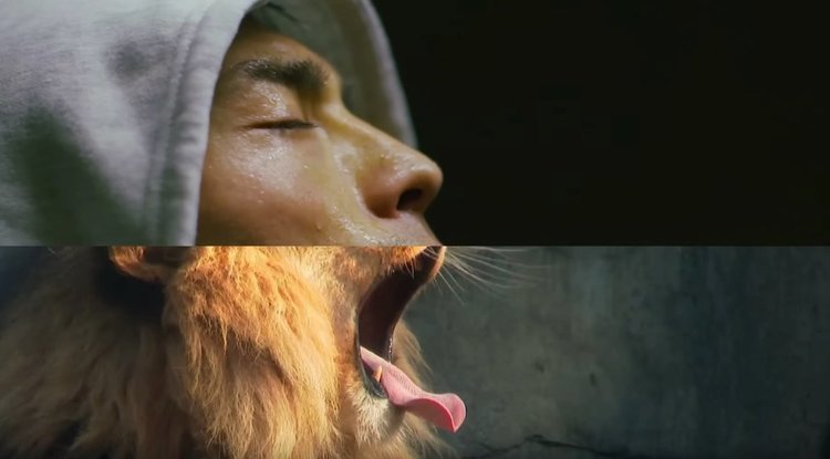 Убийствено прост и разтърсващ клип на Cassius с Cat Power и Фарел Уилямс (видео)
