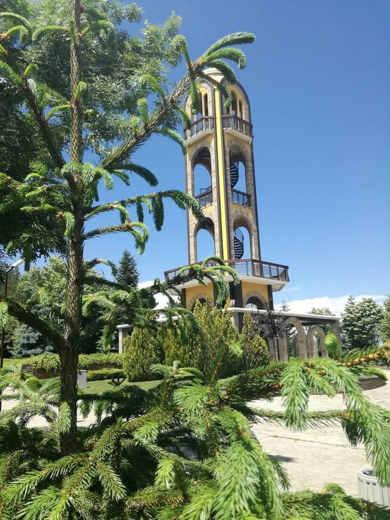 Правят благотворителна фото изложба в подкрепа на Ники