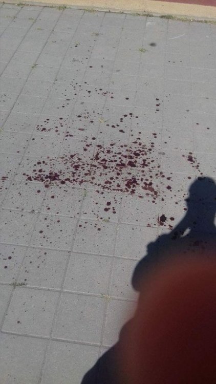 Цигани пребиха деца в Пазарджик, в Районното им казали да пуснат жалба в понеделник