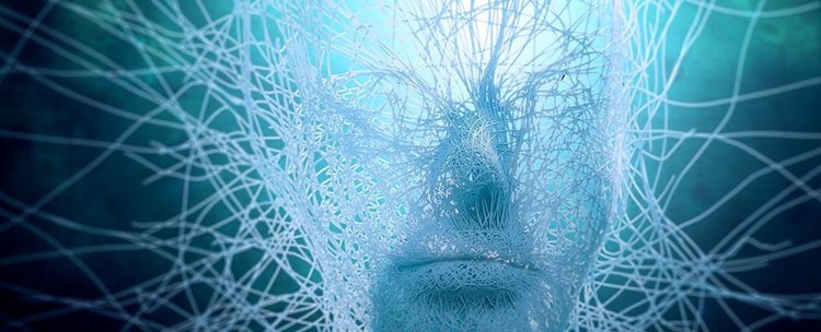 Новият изкуствен интелект на Google - извънземна цивилизация със своя собствена математика