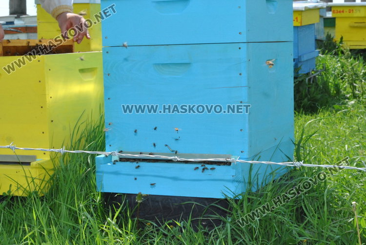Немски фирми най искат българския мед