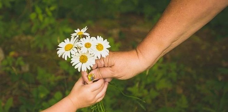 Има ли смисъл добротата от еволюционна гледна точка?