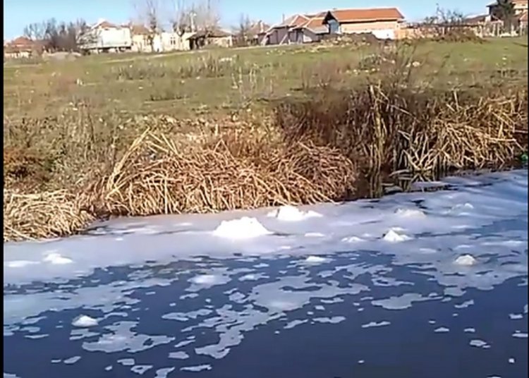 Мечка потече замърсена преди Бъдни вечер