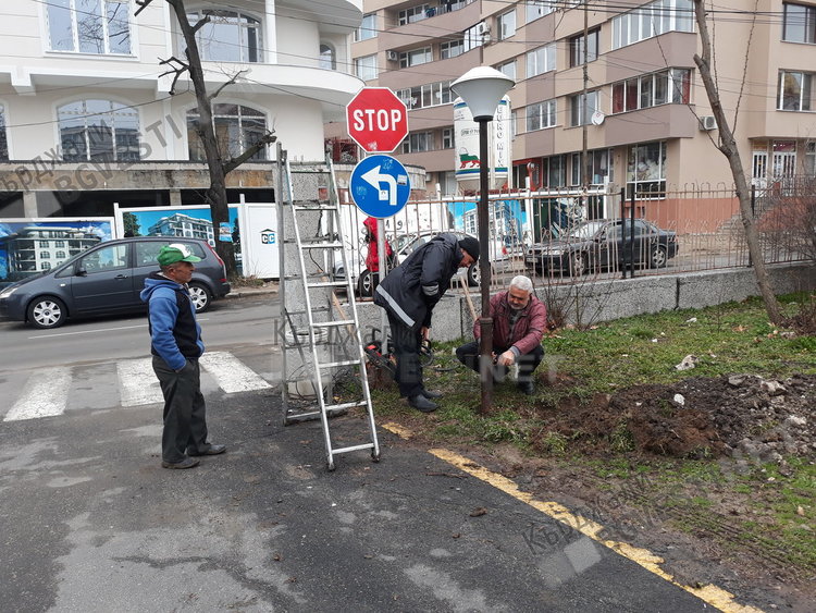 Пуснаха осветление в двора на Бизнесинкубатора, през него минават учениците за „Паисий”