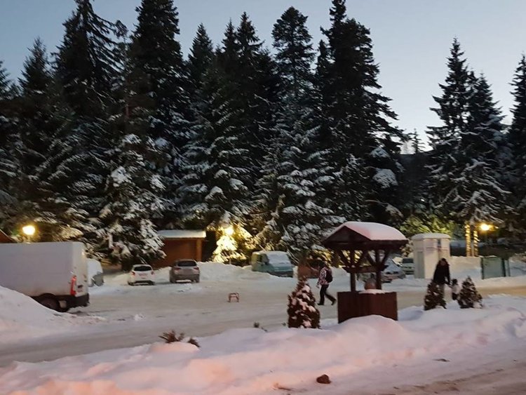 Любовна драма и ревност в основата на двойното убийство в Пампорово?