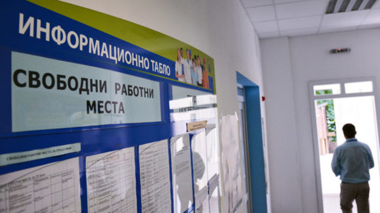 От безработните без професия или квалификация са над 62%