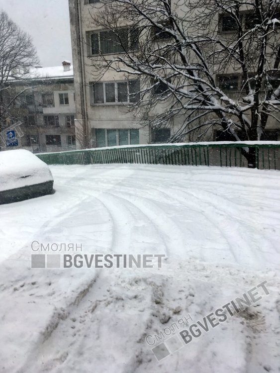 Община Смолян: Всички катастрофи от днес са заради несъобразена скорост и неподходящи гуми