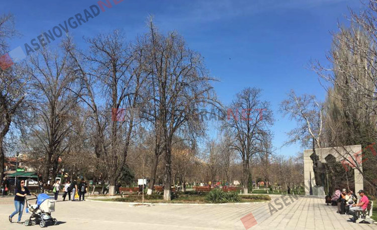Ето кои са авторите на най-добрите есета в Националния литературен конкурс "Наследник съм на цар Иван Асен II”