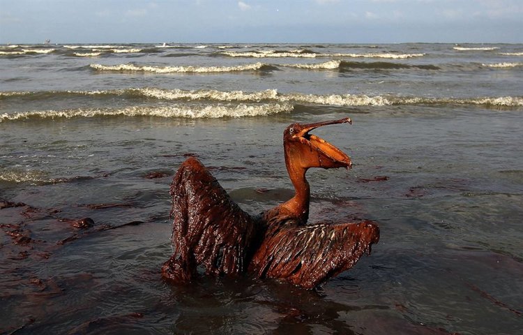 Учени ще чистят петролни разливи със сяра и готварско олио