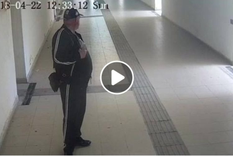 Вандализъм и кражба = заплахи, псувни, ругатни и агресия във фейсбук 