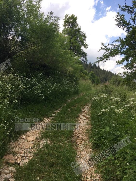 Слънчев вторник, от утре валежи и гръмотевични бури
