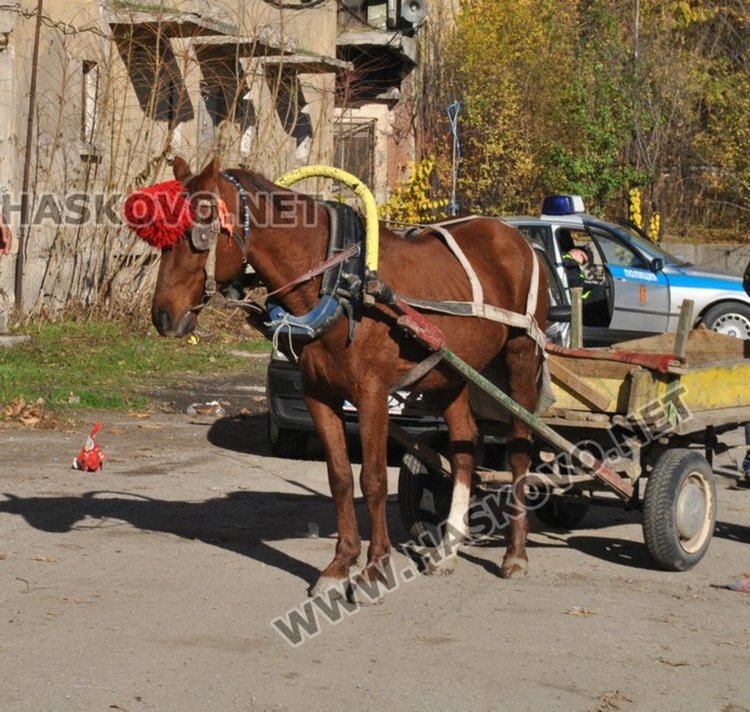 Арестуваха криминално проявени от Република, окрали четири коли