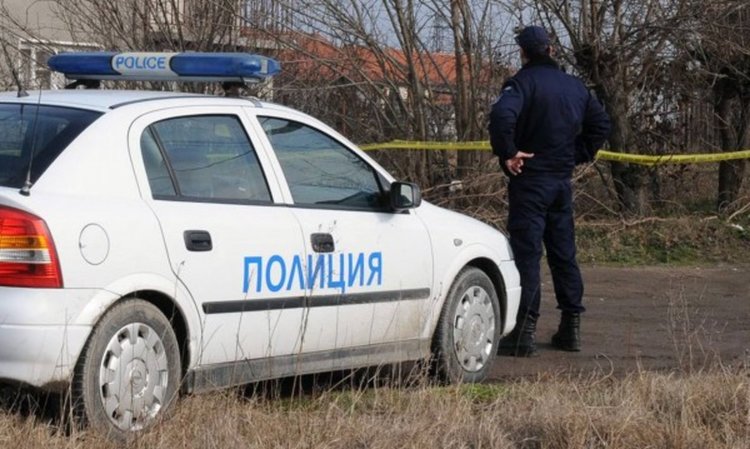 Задържаха мъж за убийство на котка