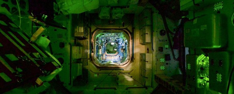 На МКС откриха опасни космически щамове бактерии, резистентни на антибиотици