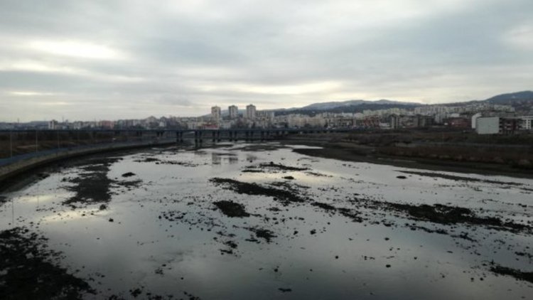 Майката, изхвърлила бебето си във водното огледало , остава в дома си