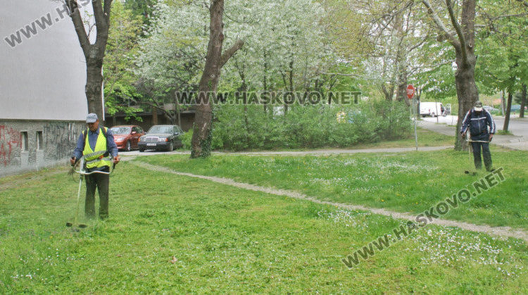Морят кърлежите в Димитровград днес и утре
