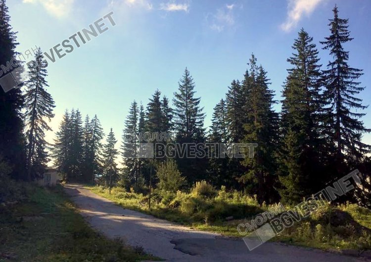 Предимно слънчева събота, след обяд е възможен дъжд
