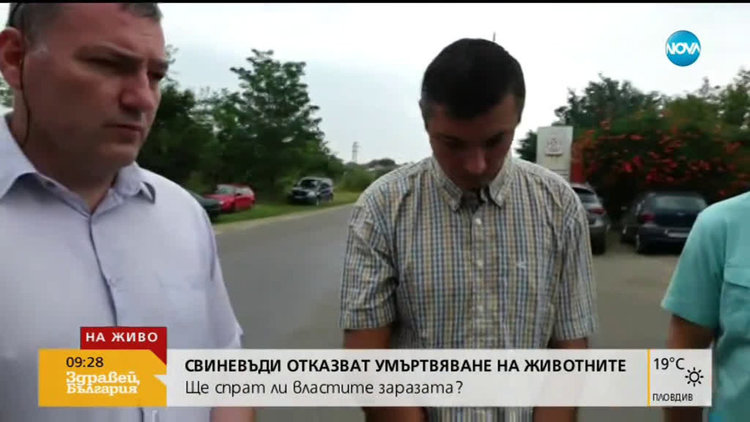 Свинекомплекс в Русенско отказва да умъртвява животни