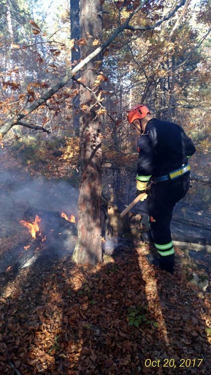 Десетки гасиха огъня край Лясково, спасиха 500 декара гора