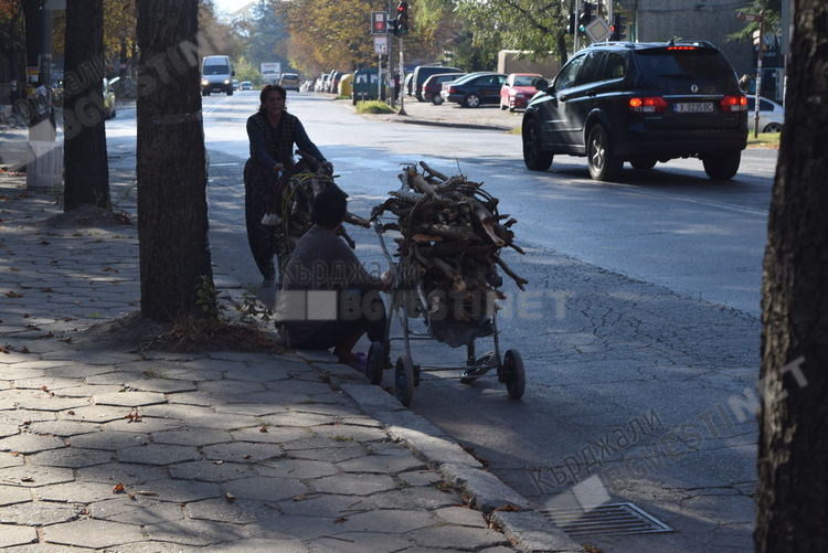 Ромите се запасяват с дърва за зимата, тарашат парк „Простор”