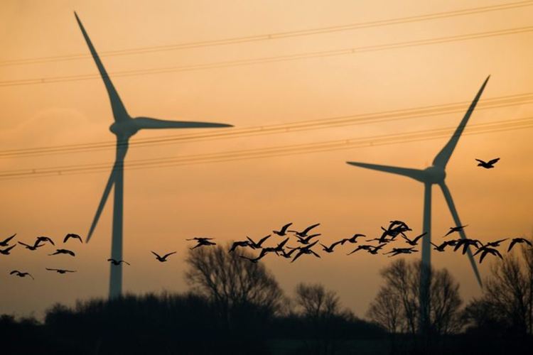 11 258 учени от 153 държави: Планетата е в климатична извънредна ситуация