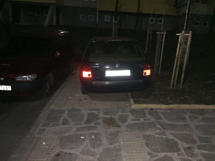 Хасковлия: Нагъл шофьор паркира в новата градинка в "Орфей"