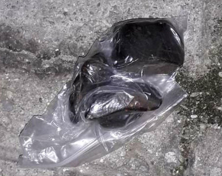 Нов вид наркотично вещество заловиха полицаи в пловдивско село