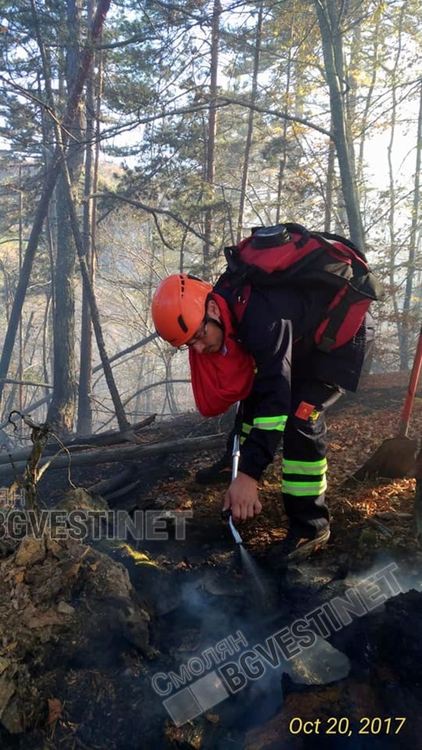 Огнеборци и ловци спасиха 100 декара гора от пожар край Чепеларе