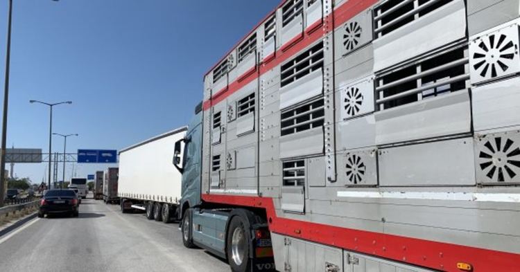 Турските власти заловиха рекордните 2 тона марихуана на границата с България