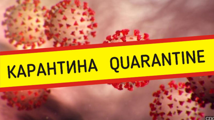 Община Димитровград: подавайте сигнали за съседи, завърнали се от чужбина, които не са се самоизолирали