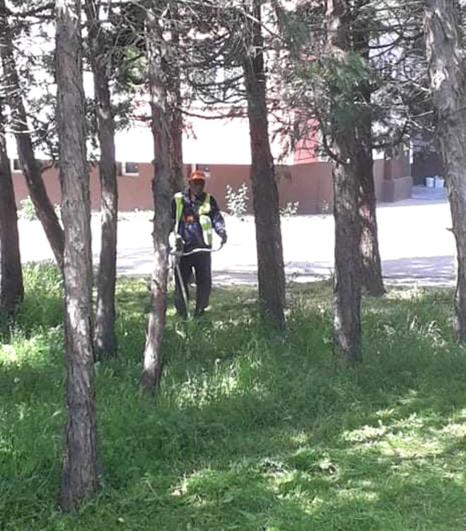 Отново пръскаха срещу кърлежи в Хасково, започва и срещу комари 