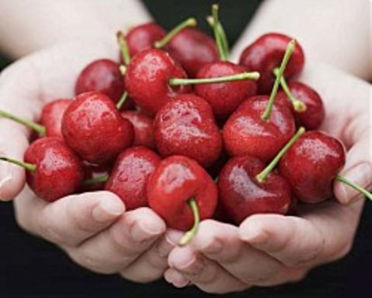 10 причини да обичаме черешите