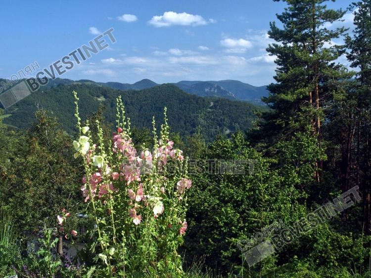 Вторник с превалявания и до 22 градуса
