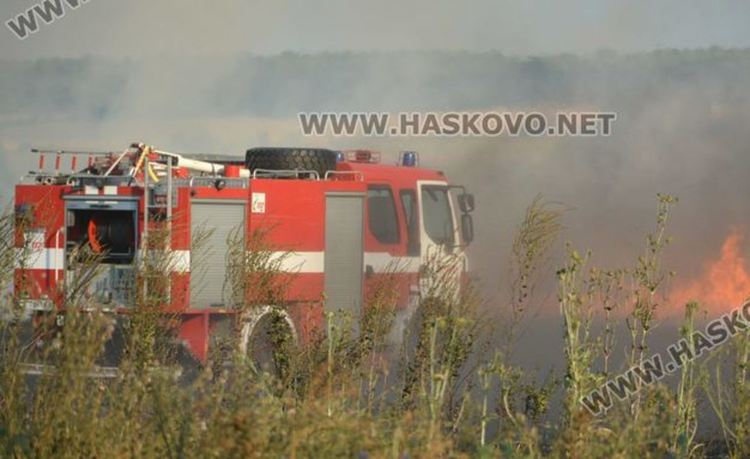 Овладяха пожара в Тополовградско, обхванал 300 дка борови гори