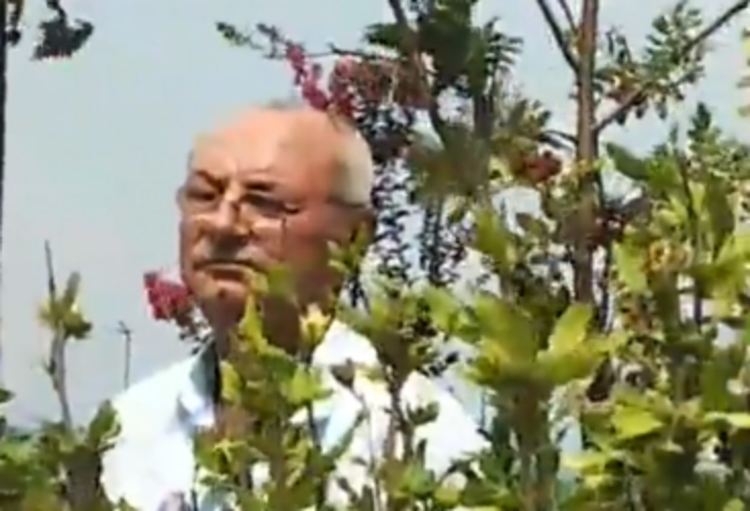Доган се включи в бийч партито край сарая 