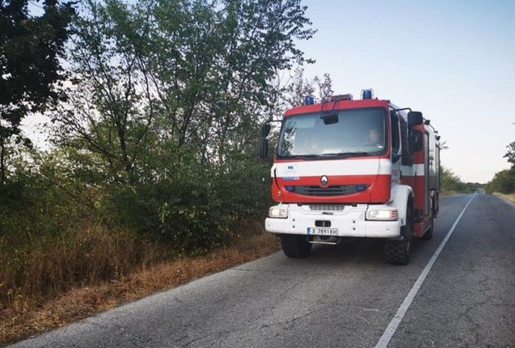 Пожар бушува между с.Воден и с.Нова Надежда